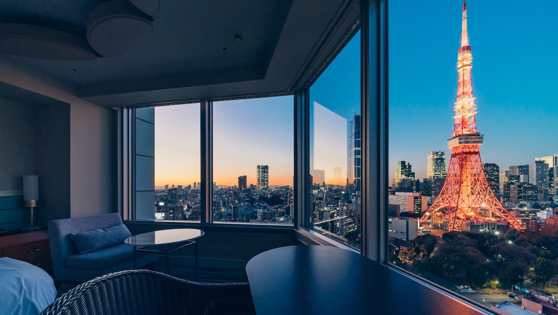 منظره پانوراما هتل پرینس از برج مخابراتی توکیو