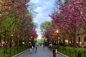 تور کلمبیا نوروز