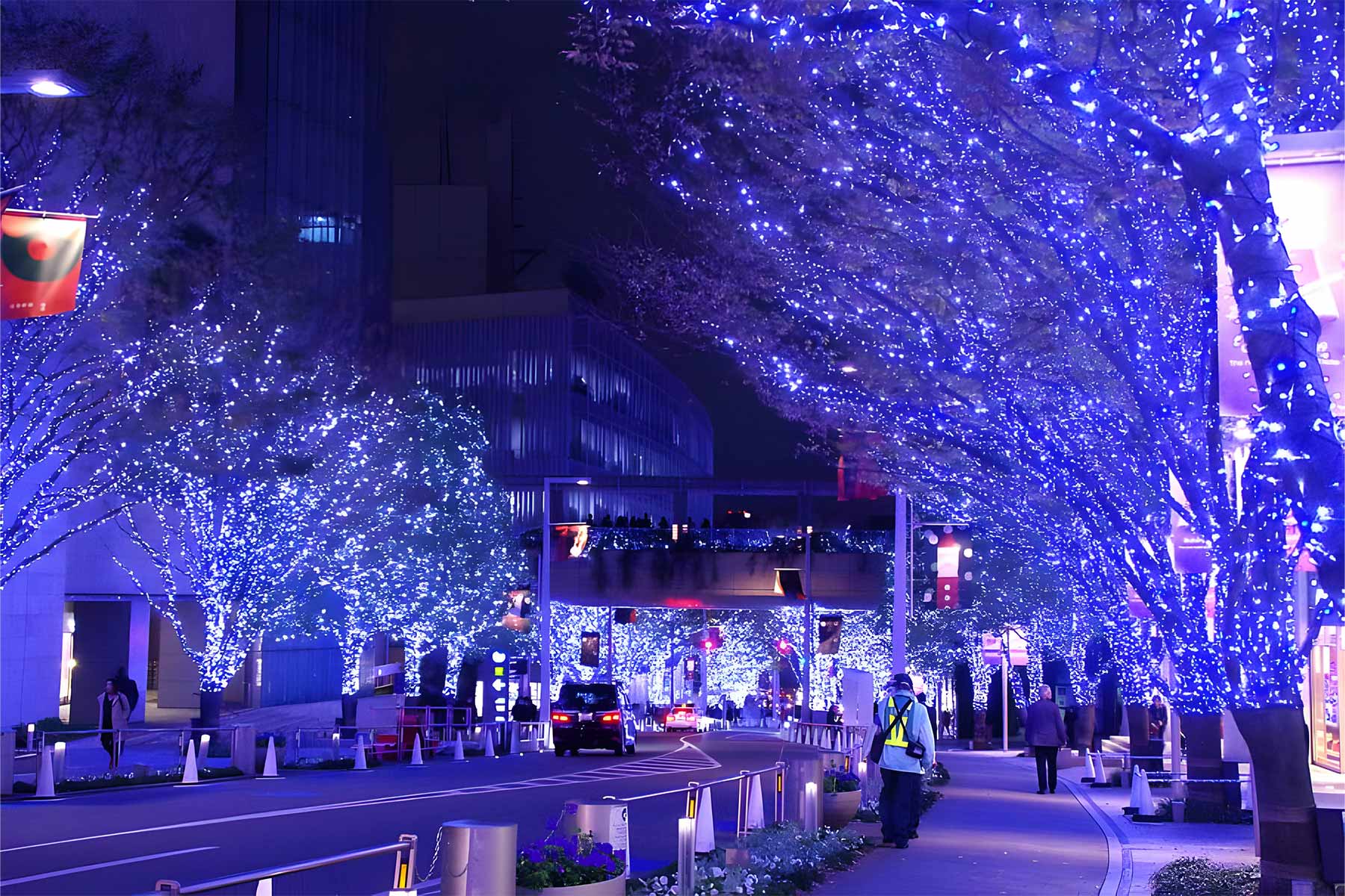 تور ژاپن ویژه کریسمس