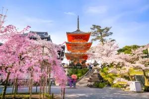 تور ژاپن نوروز