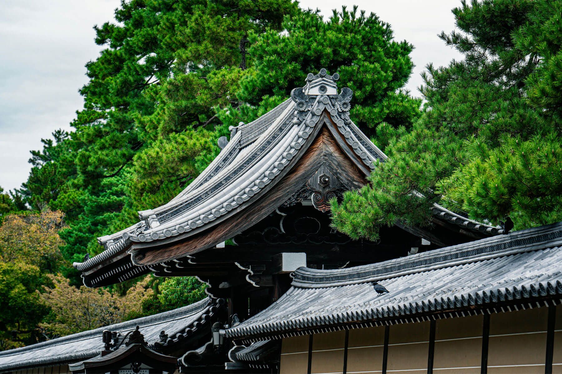 تور ژاپن نوروز