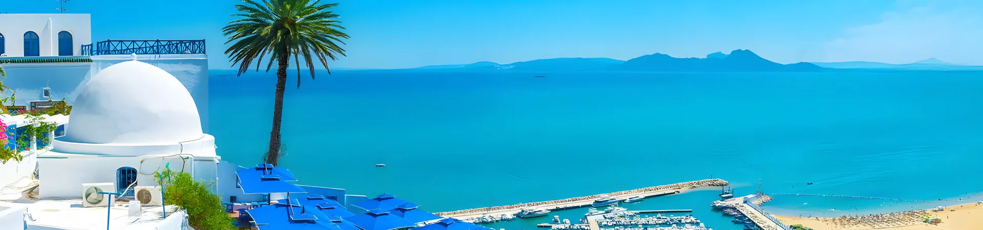تور تونس